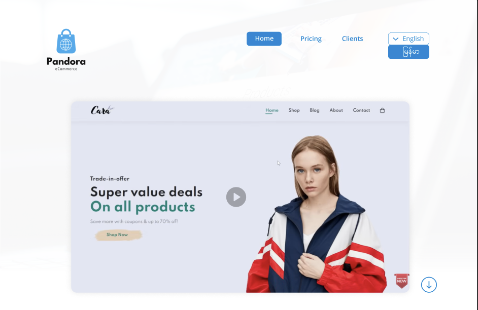 Pandora Ecommerce Website